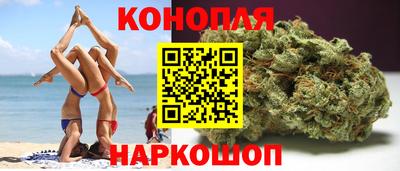 гашик Гусев