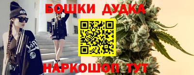 гашик Гусев