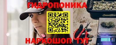 гашик Гусев