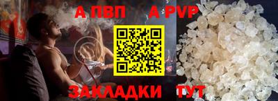 прущие грибы Гатчина