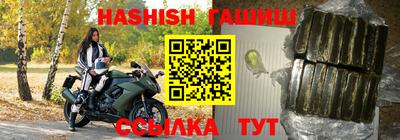 прущие грибы Гатчина