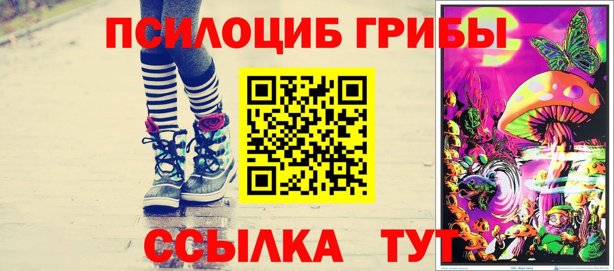 Галлюциногенные грибы GOLDEN TEACHER  Галлюциногенные грибы мухоморы  Менделеевск  Вход с VPN 