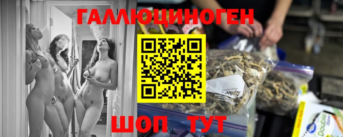 Галлюциногенные грибы Psilocybine cubensis Менделеевск